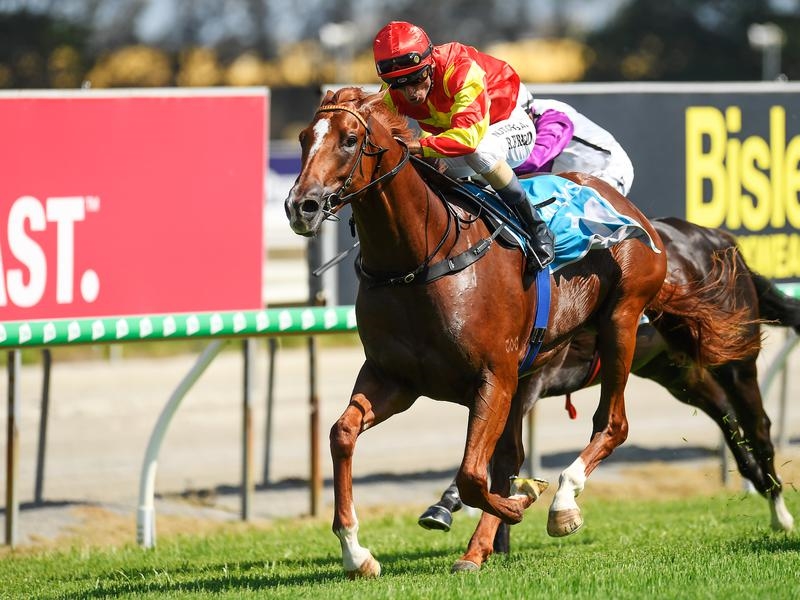 Gallops Edmonds | Just Horse Racing