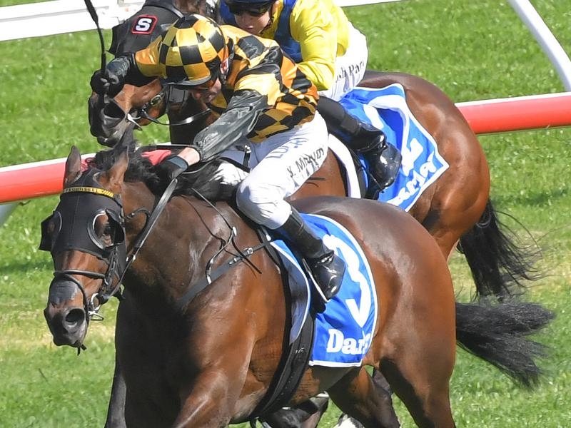 Gallops Probabeel | Just Horse Racing