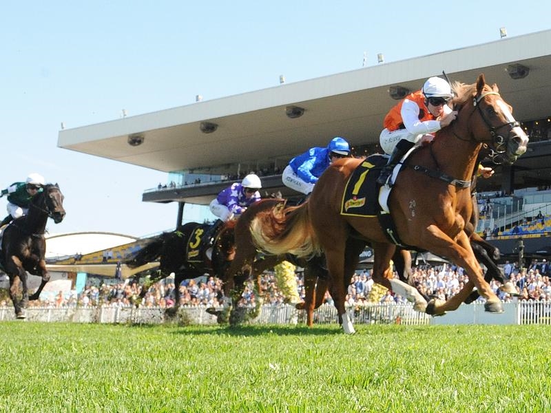 Gallops Ryan | Just Horse Racing