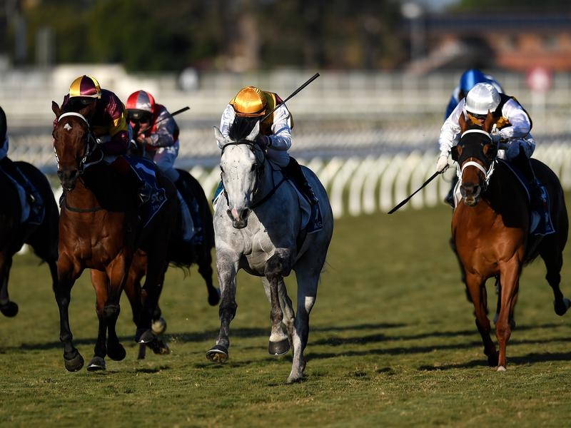 Gallops Silvera | Just Horse Racing