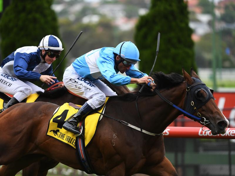 Gallops Valley | Just Horse Racing