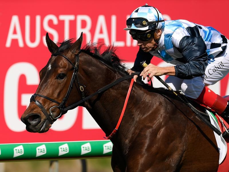 Gold Coast Chicka | Just Horse Racing