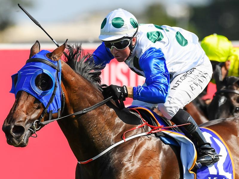 Gold Coast Evans | Just Horse Racing