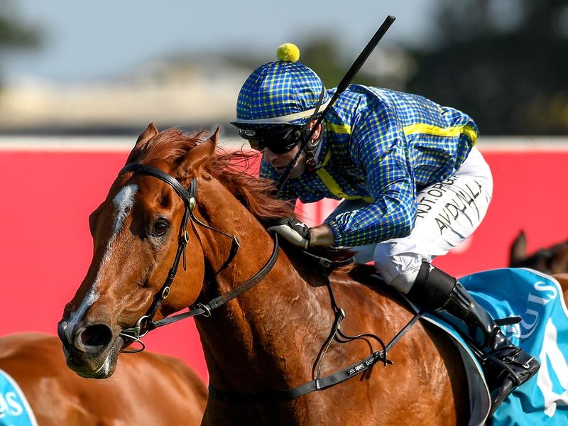 Gold Coast Guard | Just Horse Racing