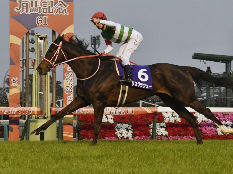 Gold Coast Lane | Just Horse Racing