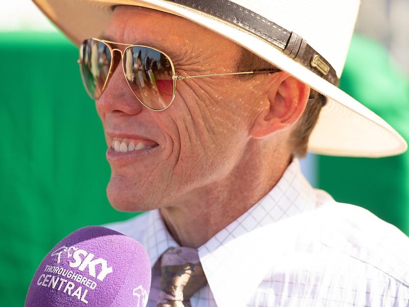 Gold Coast Pearl | Just Horse Racing