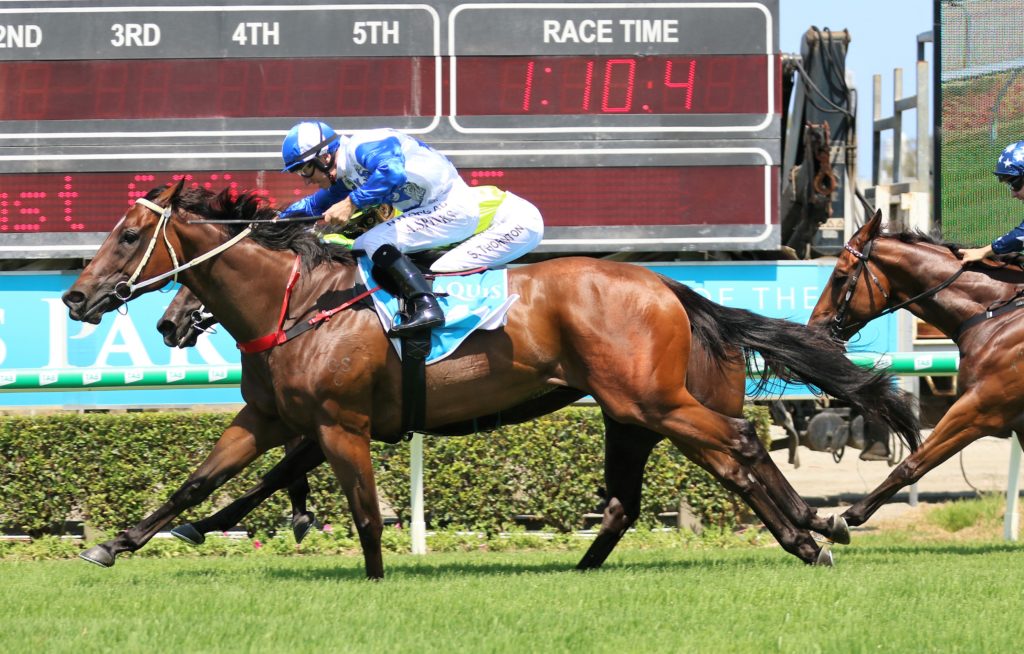 Ice Frost (3) | Just Horse Racing