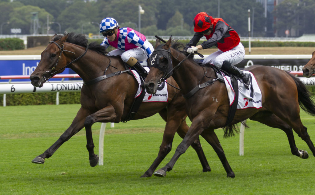 ManOfPeace-20200111-9817 | Just Horse Racing