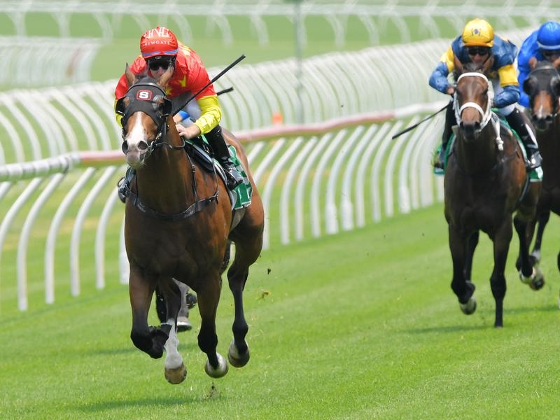 Millions Draw | Just Horse Racing