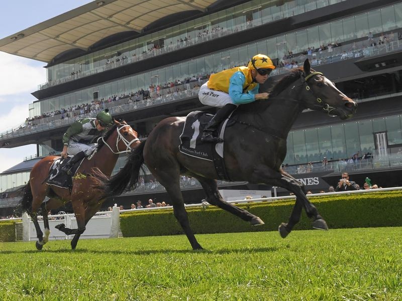 Millions Guineas Preview | Just Horse Racing