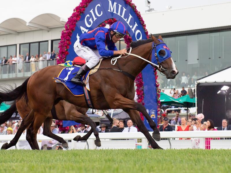 Millions Haunt | Just Horse Racing