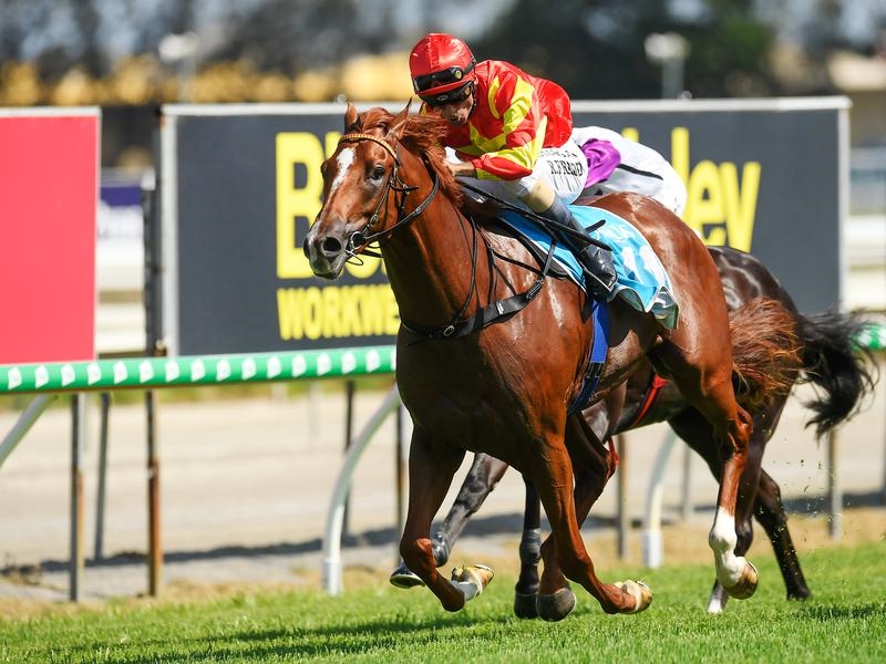 Millions Preview | Just Horse Racing