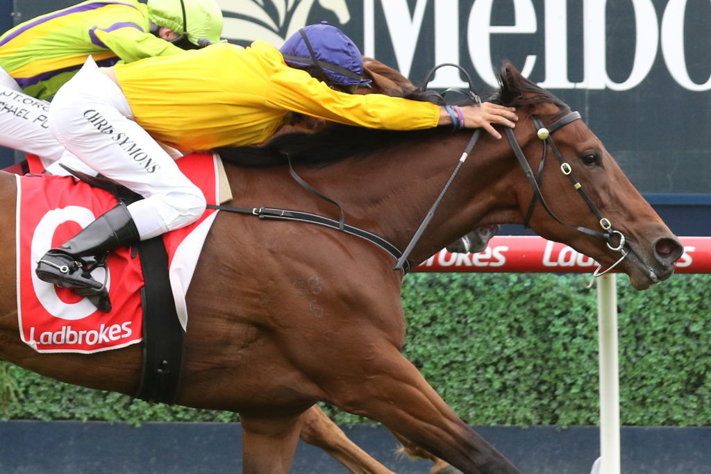 Mrs Beckham_04-01-2020_WIN_Caulfield_5__648 | Just Horse Racing