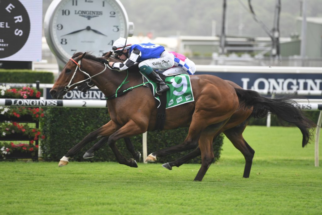 Mugatoo 25012020 9588 | Just Horse Racing
