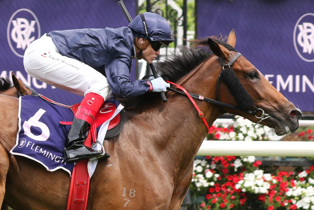 Personal_18-01-2020_WIN_Flemington_1__43 | Just Horse Racing