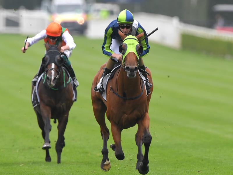 Randwick | Just Horse Racing