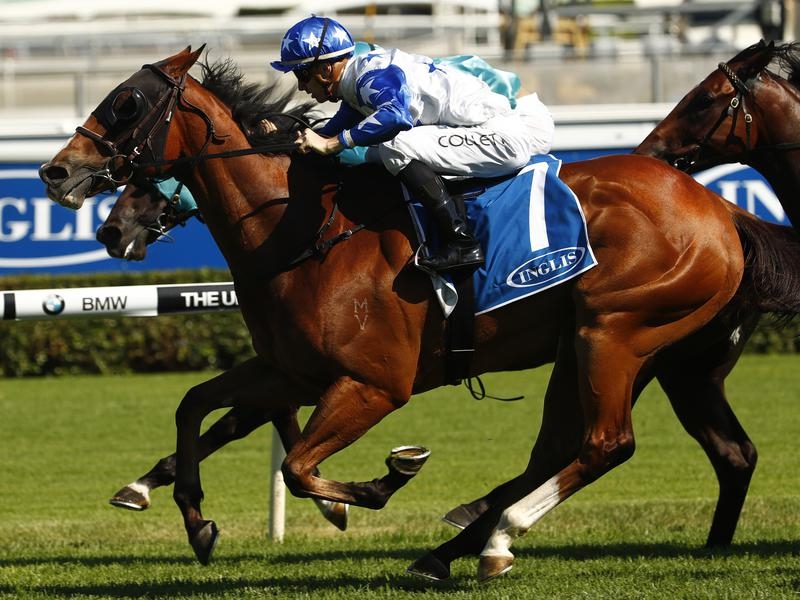 Randwick Carrington | Just Horse Racing