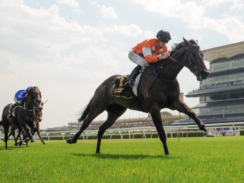 Randwick Lashes | Just Horse Racing