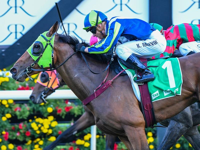 Randwick Preview | Just Horse Racing