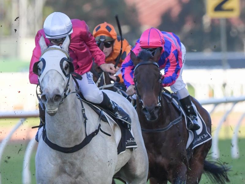 Randwick Preview | Just Horse Racing