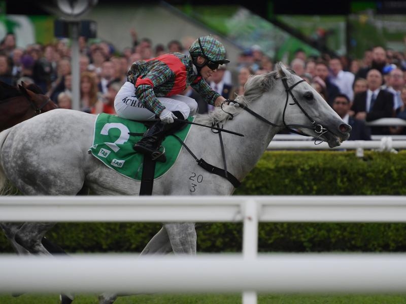 Randwick Preview | Just Horse Racing