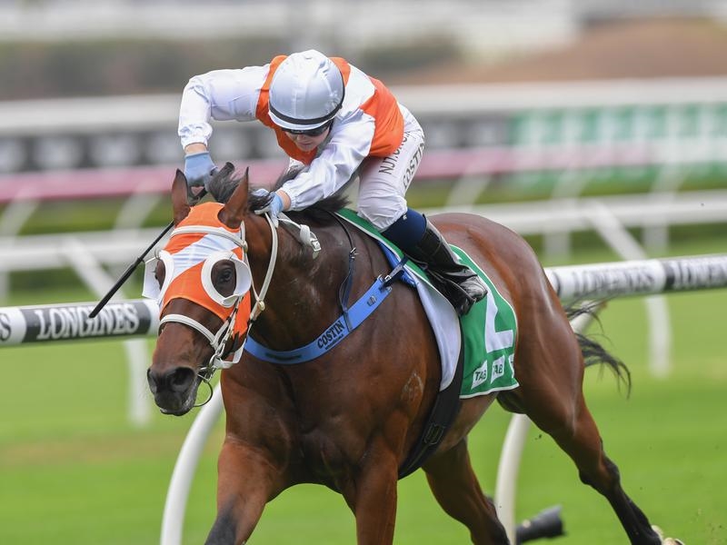 Randwick Seib | Just Horse Racing