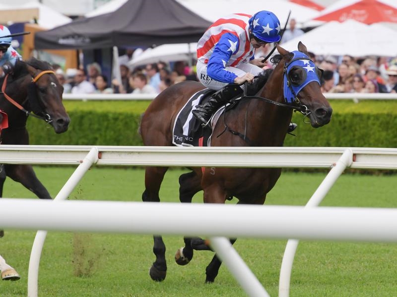 Randwick Solo | Just Horse Racing