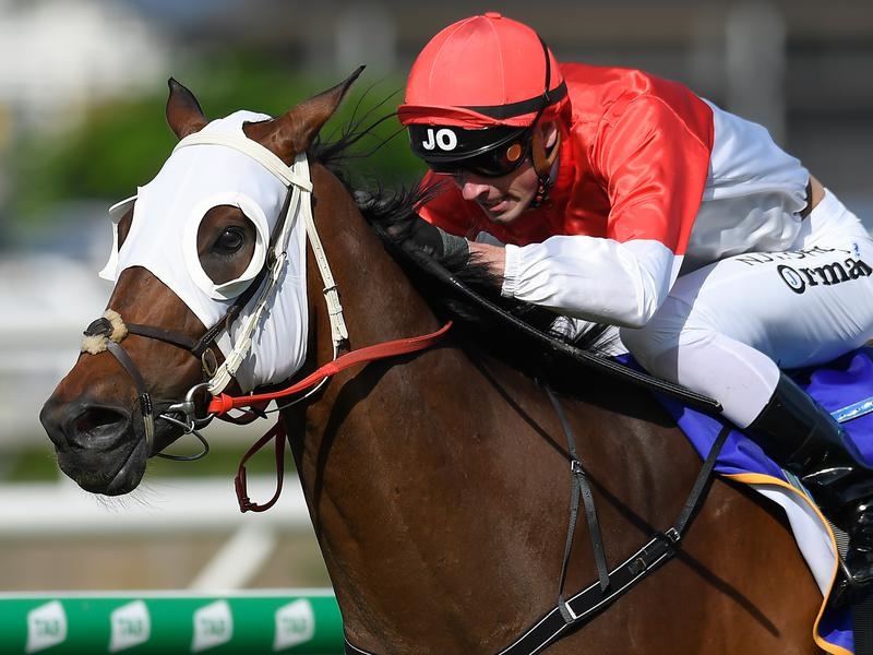 Sunshine Coast Cup | Just Horse Racing