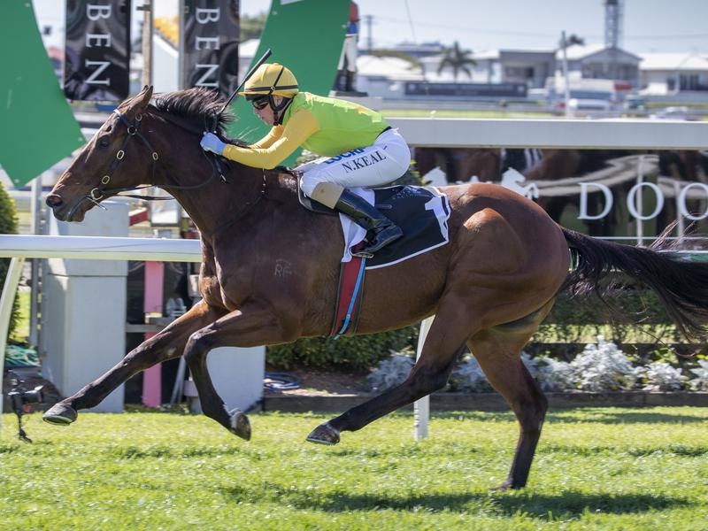 Sunshine Coast Orm | Just Horse Racing
