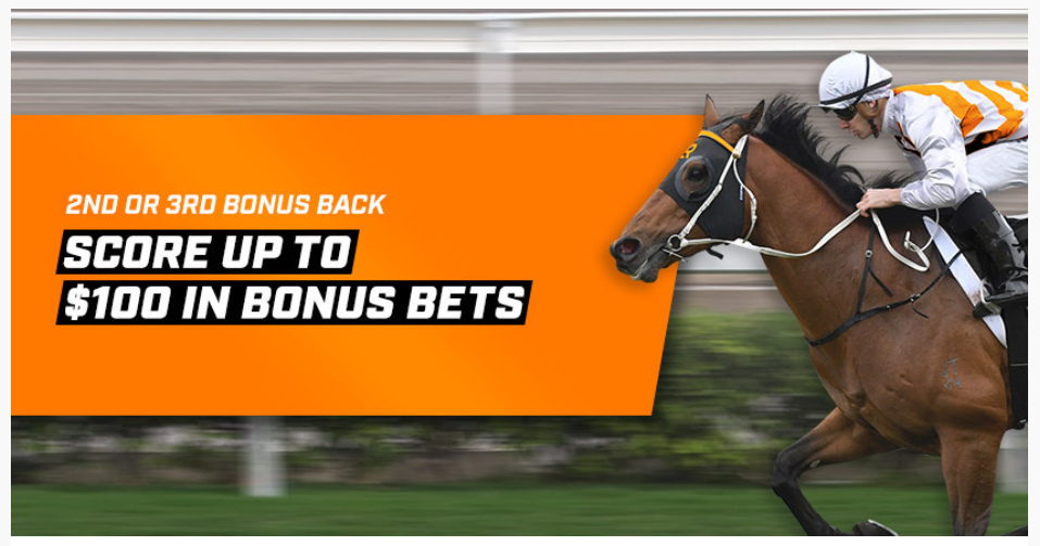 Taree Race 1 Neds Promotion | Just Horse Racing