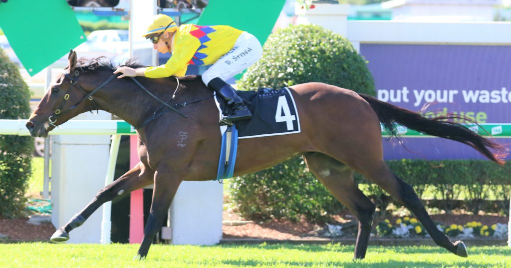 Vega One (1) | Just Horse Racing