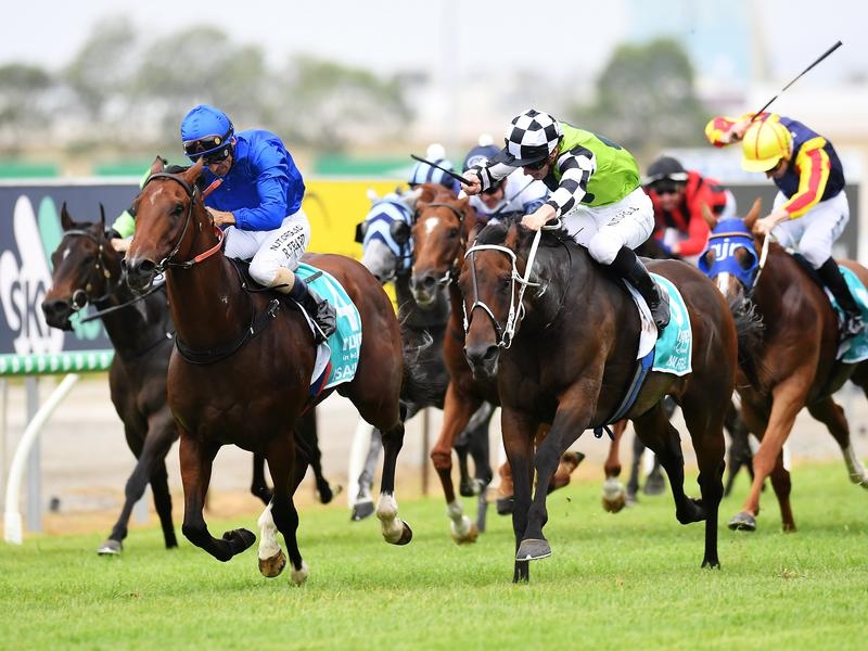 millions madam | Just Horse Racing