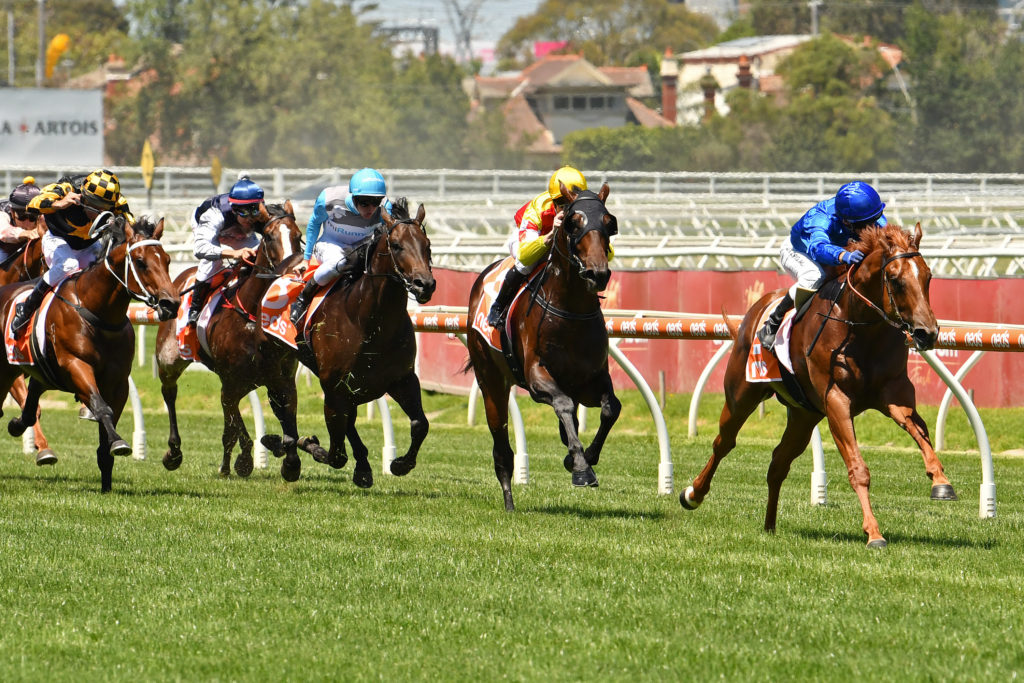 Hanseatic | Just Horse Racing