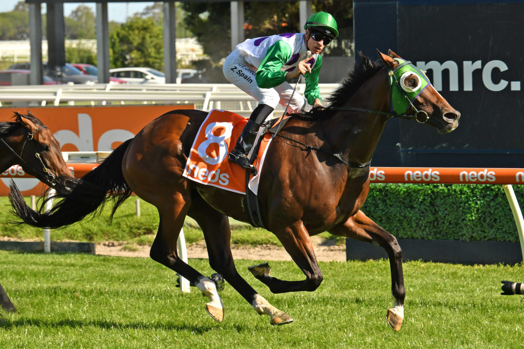 Morvada | Just Horse Racing