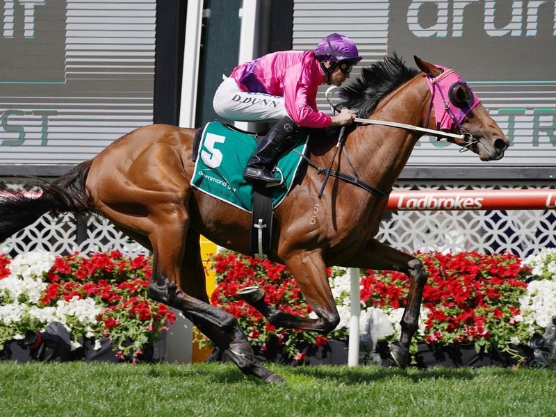 Australian Guineas Soul | Just Horse Racing