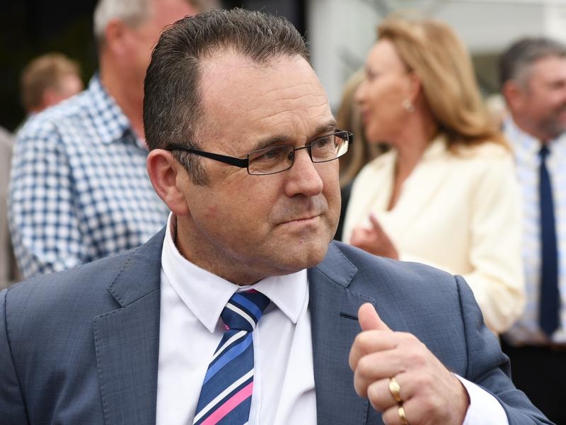 Blue Diamond Preview | Just Horse Racing