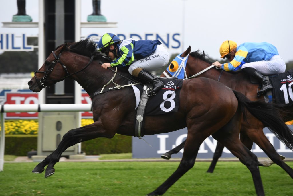 Brandenburg 22022020 8260 | Just Horse Racing