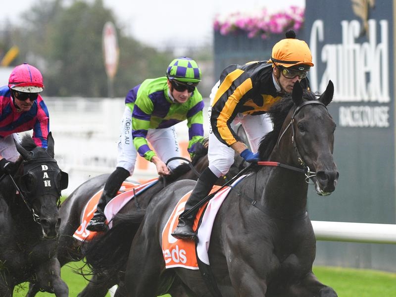Caulfield Nonconformist | Just Horse Racing