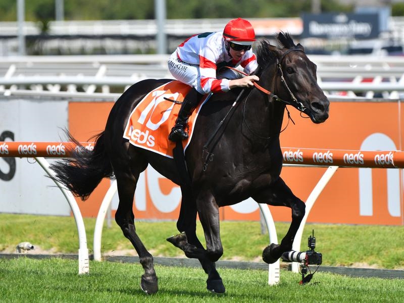 Caulfield Siska | Just Horse Racing