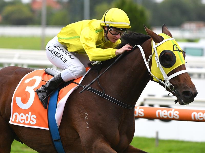 Caulfield Vaucluse | Just Horse Racing
