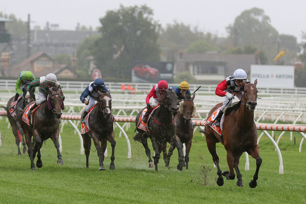 Diamond Effort_01-02-2020_WIN_Caulfield_4__538 | Just Horse Racing