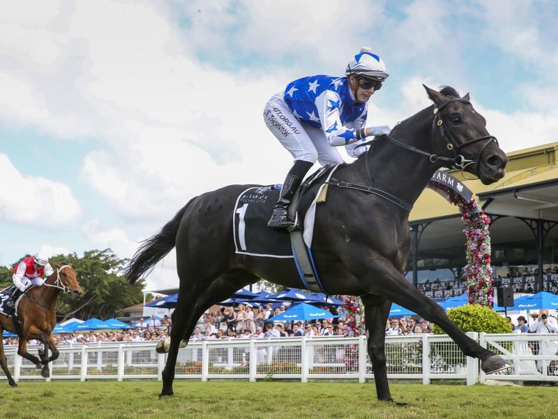 Doomben Odyssey | Just Horse Racing