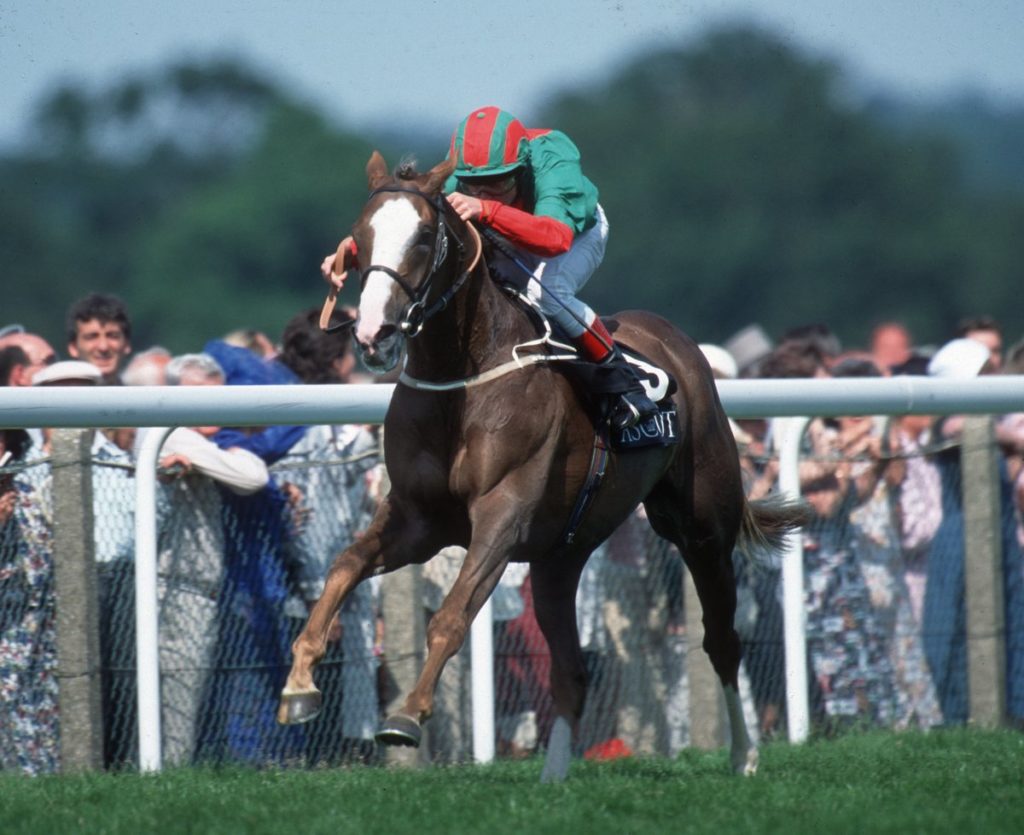 Double Trigger | Just Horse Racing
