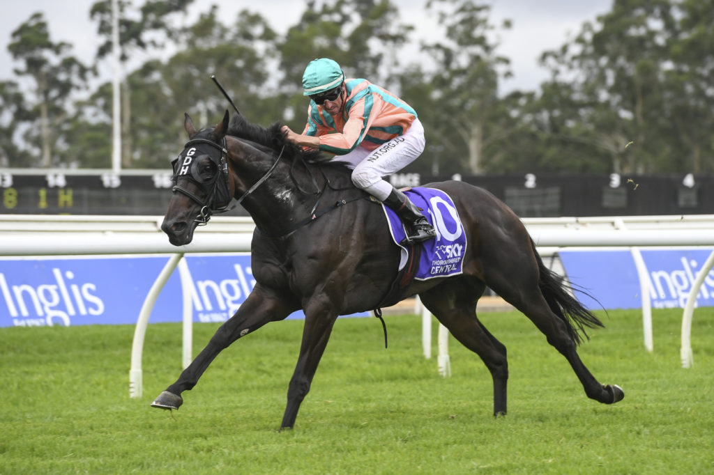 EPIC DAN_9_WF_12022020__B2942 | Just Horse Racing