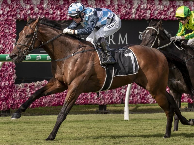 Eagle Farm | Just Horse Racing