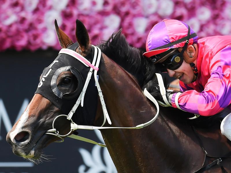 Eagle Farm Exondabeach | Just Horse Racing