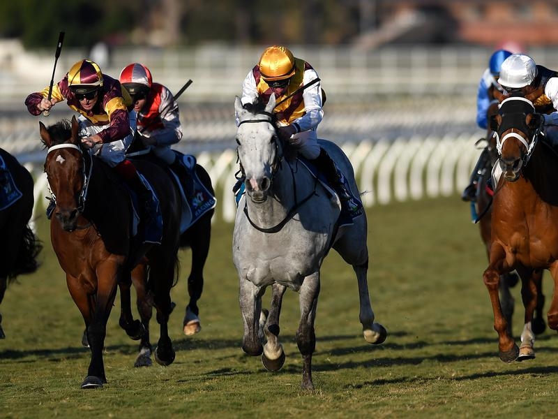 Eagle Farm Preview | Just Horse Racing