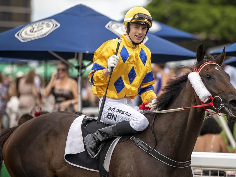 Eagle Farm Violet | Just Horse Racing