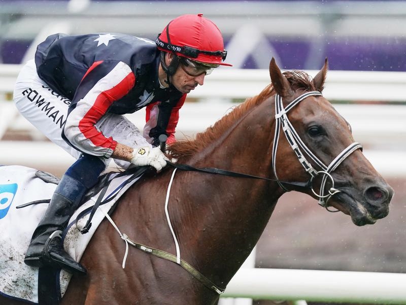 Flemington Hayes | Just Horse Racing