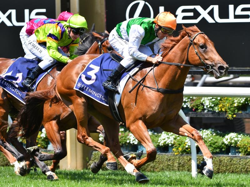 Flemington Ilovemyself | Just Horse Racing